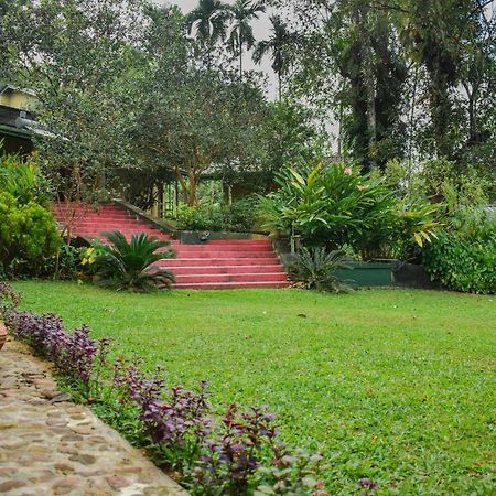 Blue Magpie Lodge Sinharaja Kudawe Esterno foto