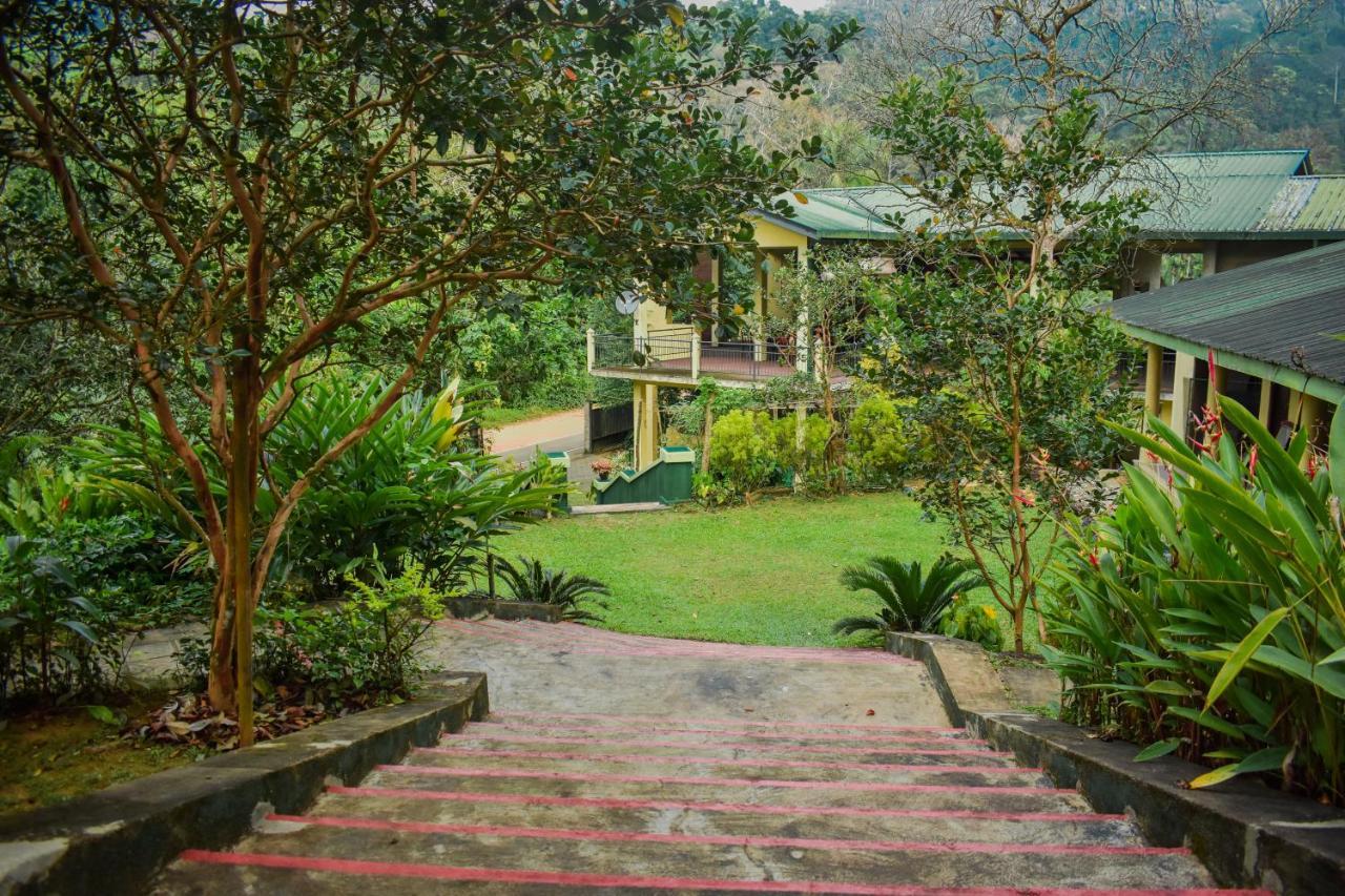 Blue Magpie Lodge Sinharaja Kudawe Esterno foto