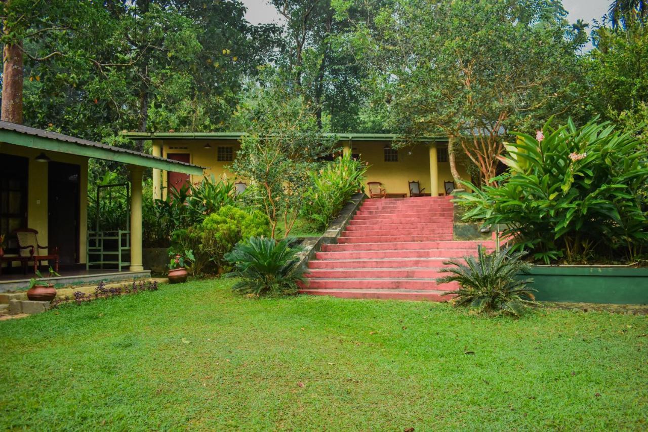 Blue Magpie Lodge Sinharaja Kudawe Esterno foto