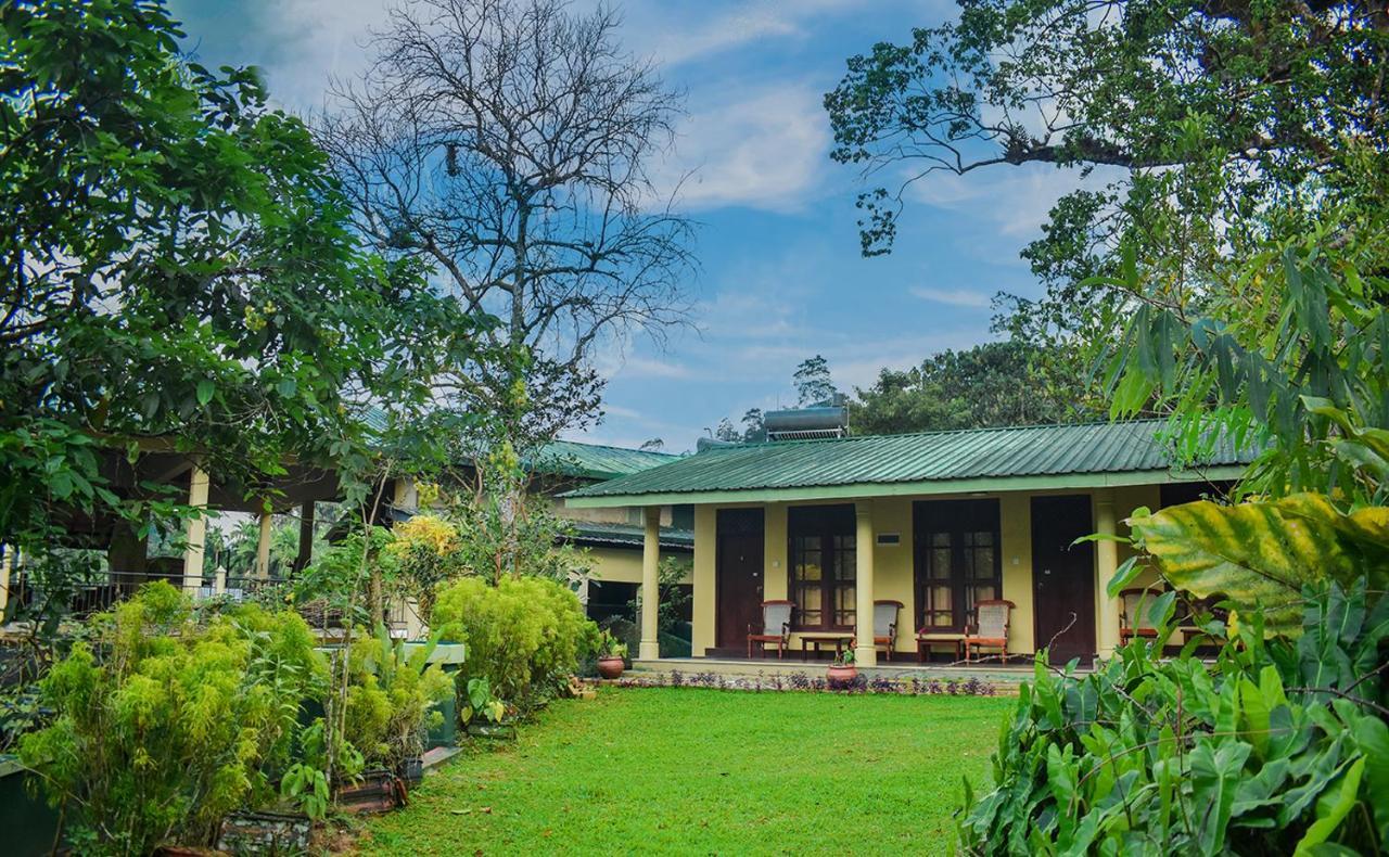 Blue Magpie Lodge Sinharaja Kudawe Esterno foto