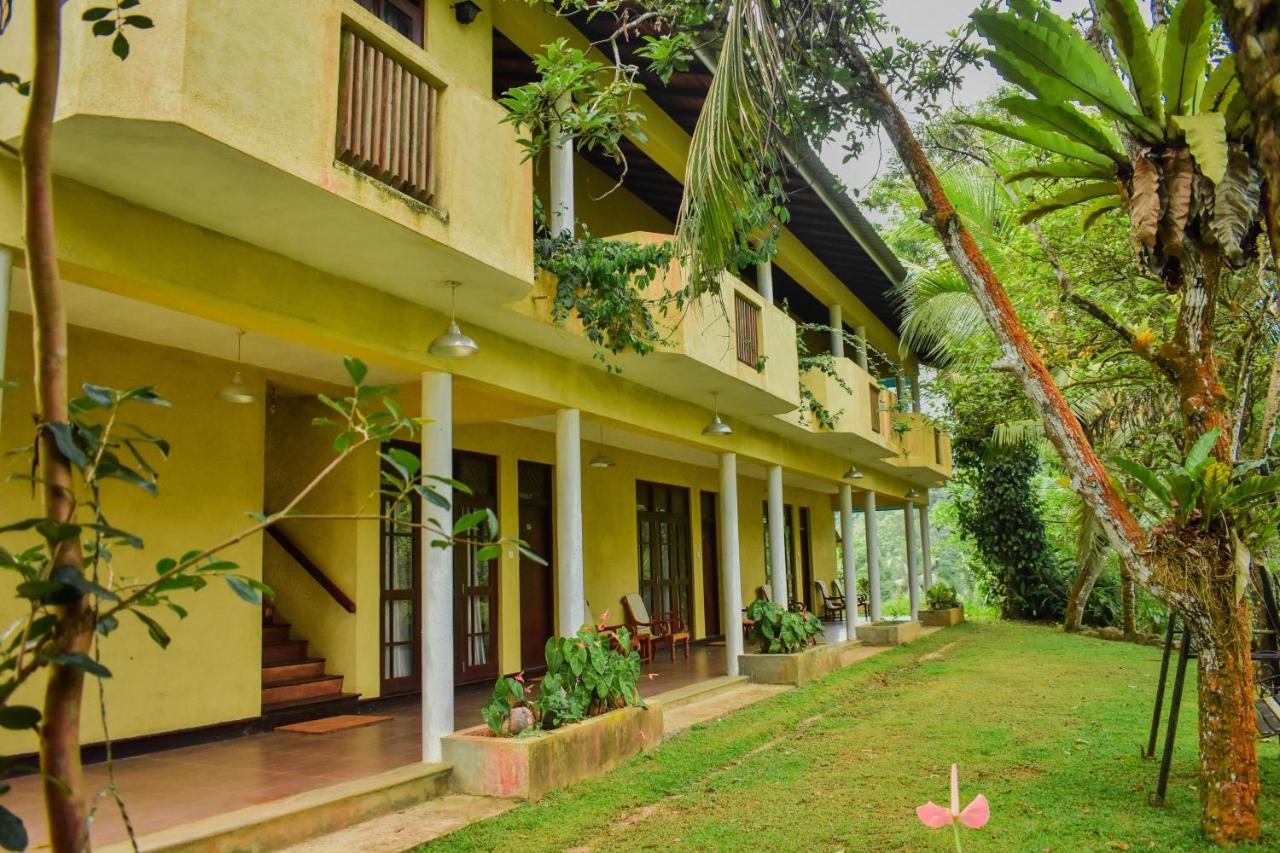 Blue Magpie Lodge Sinharaja Kudawe Esterno foto
